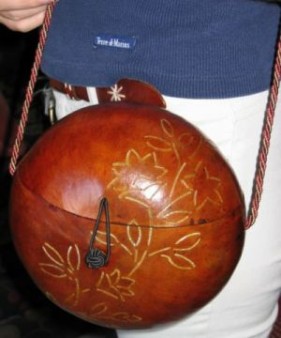 Claire's purse